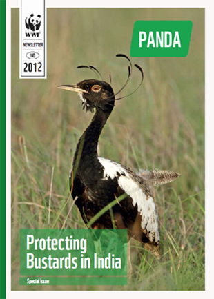 Protecting Bustards in India