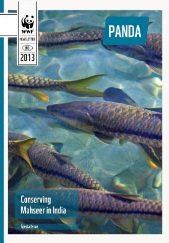 The Panda: Conserving Masheer in India