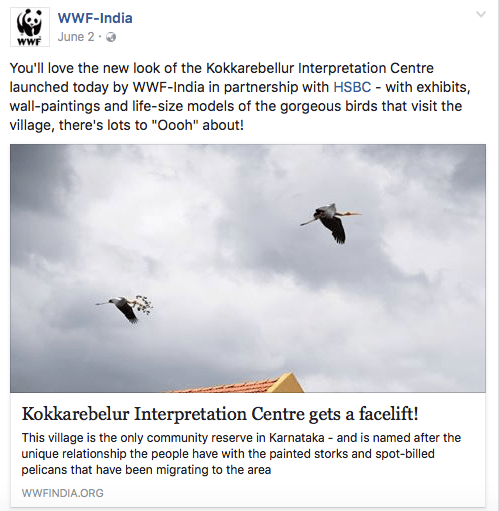 Screen Shot 2017-11-16 at 4.46.47 PM