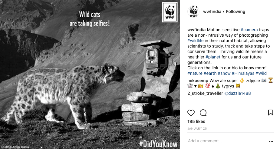 Screen Shot 2017-11-16 at 5.43.48 PM