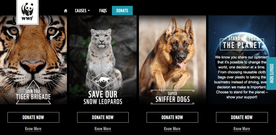 Screen Shot 2018-01-17 at 1.19.29 PM