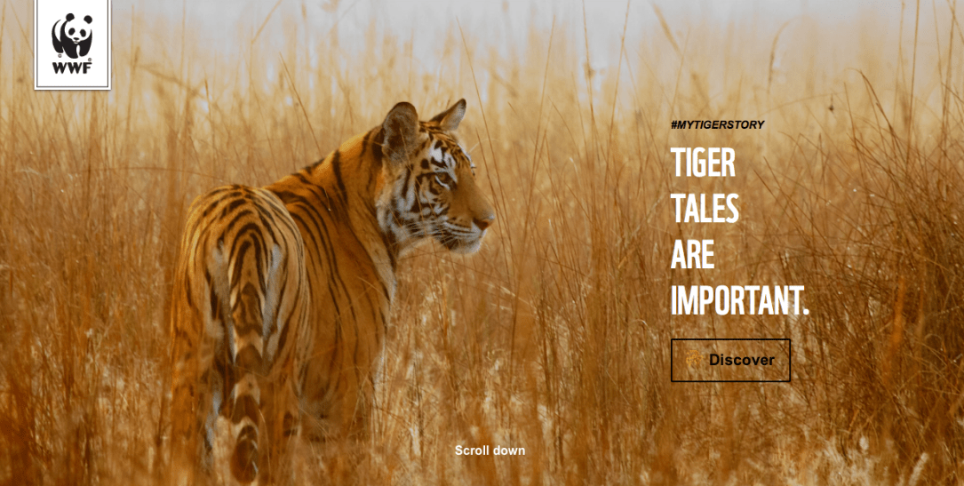 Screen Shot 2018-02-24 at 4.49.28 PM.png