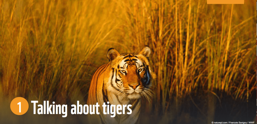 Screen Shot 2018-02-24 at 4.53.14 PM.png