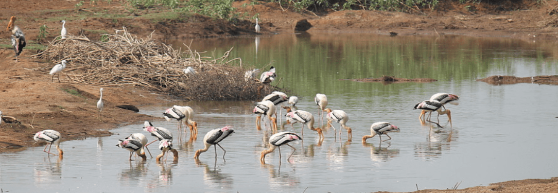 Screen Shot 2018-02-24 at 5.03.09 PM.png