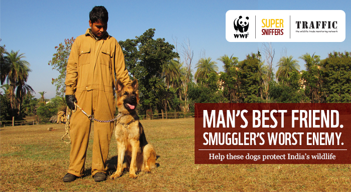 Sniffer dog_emailer 1_banner.jpg